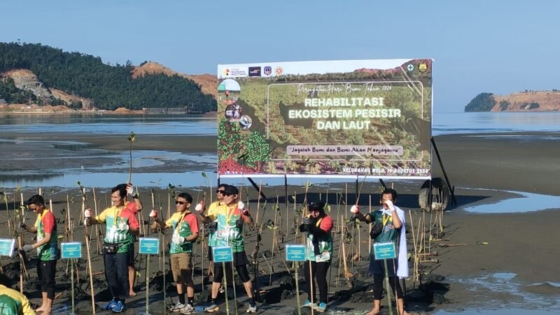 PT.Ceria Melaksanakan Green Fun Run 5 Kilometer dan Aksi Tanam Pohon Mangrove di Pesisir Kecamatan Wolo, Kabupaten Kolaka. (Foto: Istimewa)