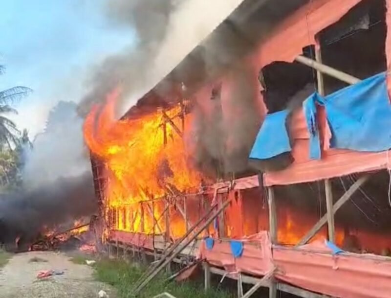 Kebakaran Peternakan Ayam di Desa Amamotu, Kecamatan Samaturu, Kabupaten Kolaka. (Foto: Istimewa)