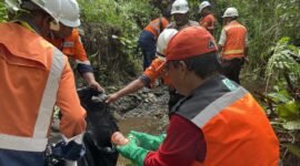 PT Ceria Nugraha Indotama (Ceria) menggelar aksi bersih sungai di Desa Samaenre, Kecamatan Wolo, Kabupaten Kolaka, Sulawesi Tenggara, pada Minggu (15/12/2024). (Foto: Istimewa)